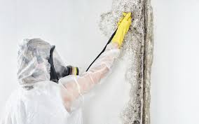 Best Forensic Mold Investigation  in USA